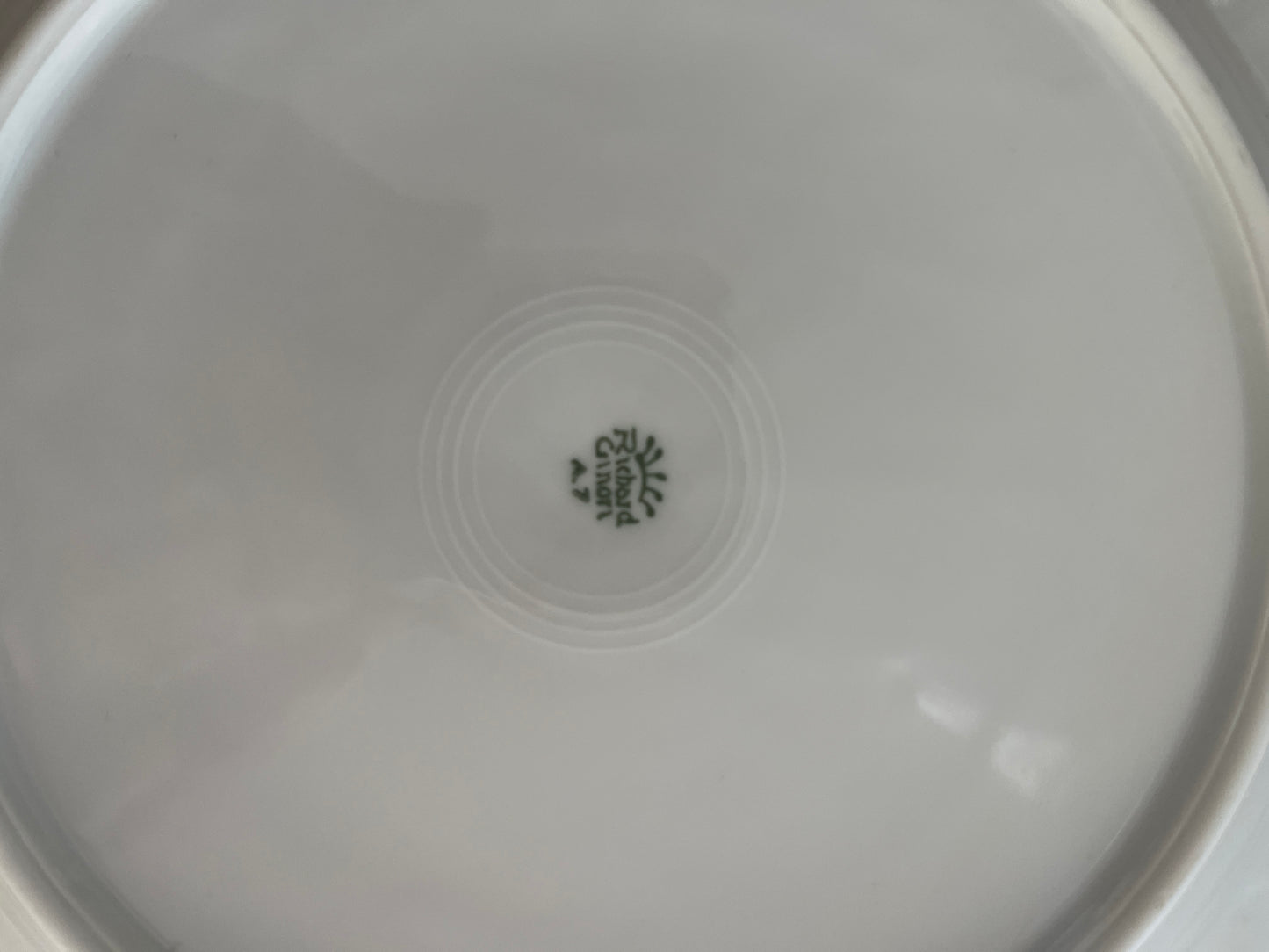 Vintage Blue Floral Richard Ginori Dinner Plates, 1958 (Set of 9)