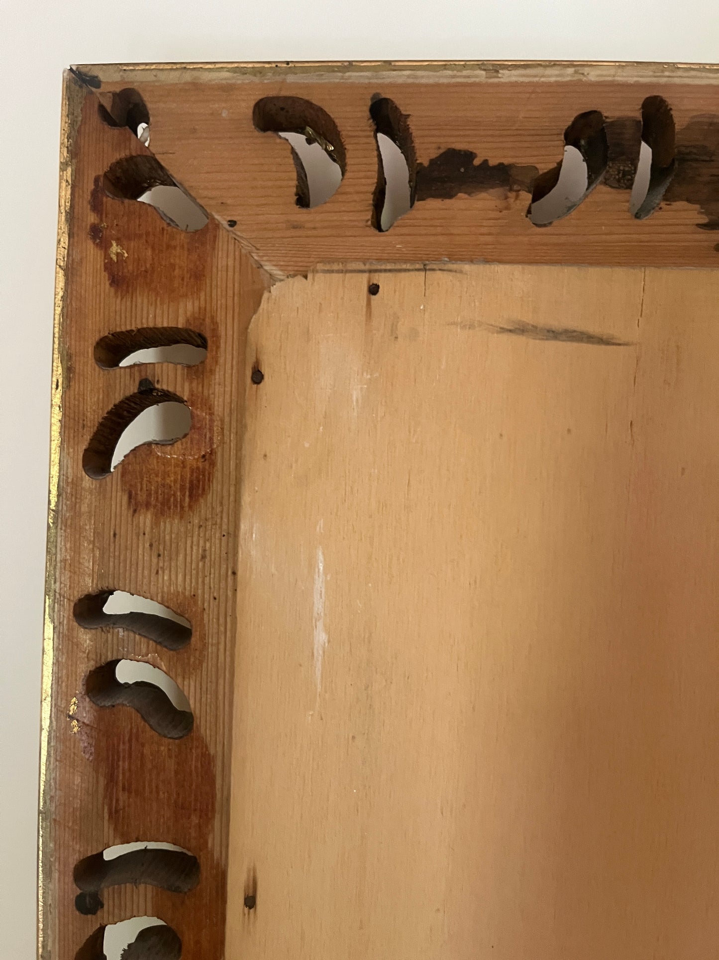 Mid-Century Ornamental Mirror with Gilded Botanical Frame