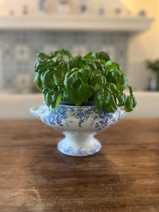 French Faience Soup Tureen Body